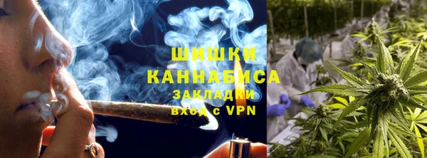 твердый Алзамай