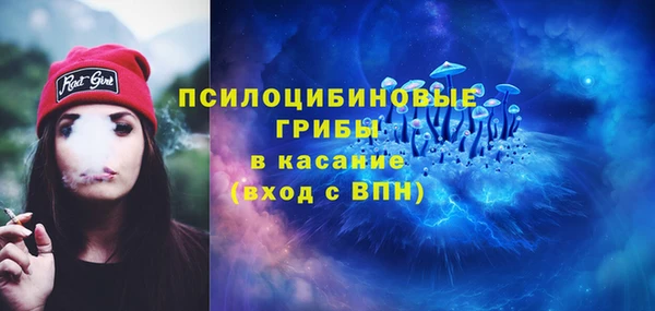 твердый Алзамай