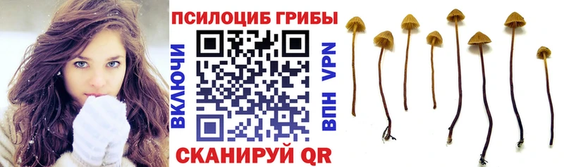 Псилоцибиновые грибы ЛСД  blacksprut ссылка  Боровск 